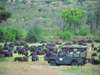 Siana Springs Tented Camp - Game Drive